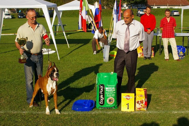 www.boxer-show.eu